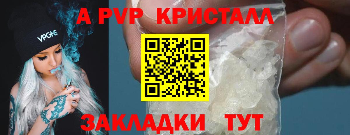 А ПВП крисы CK Курчалой