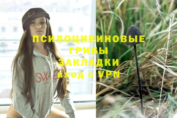 каннабис Алексеевка