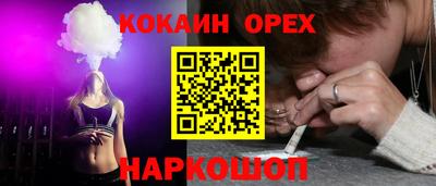 стафф Кандалакша