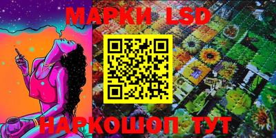 стафф Кандалакша