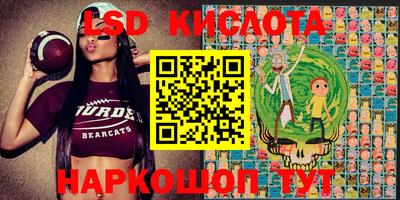 твердый Камышлов